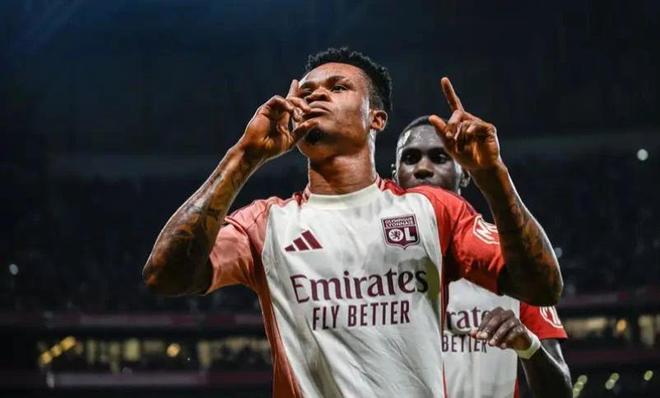 的组织能力 的组织能力