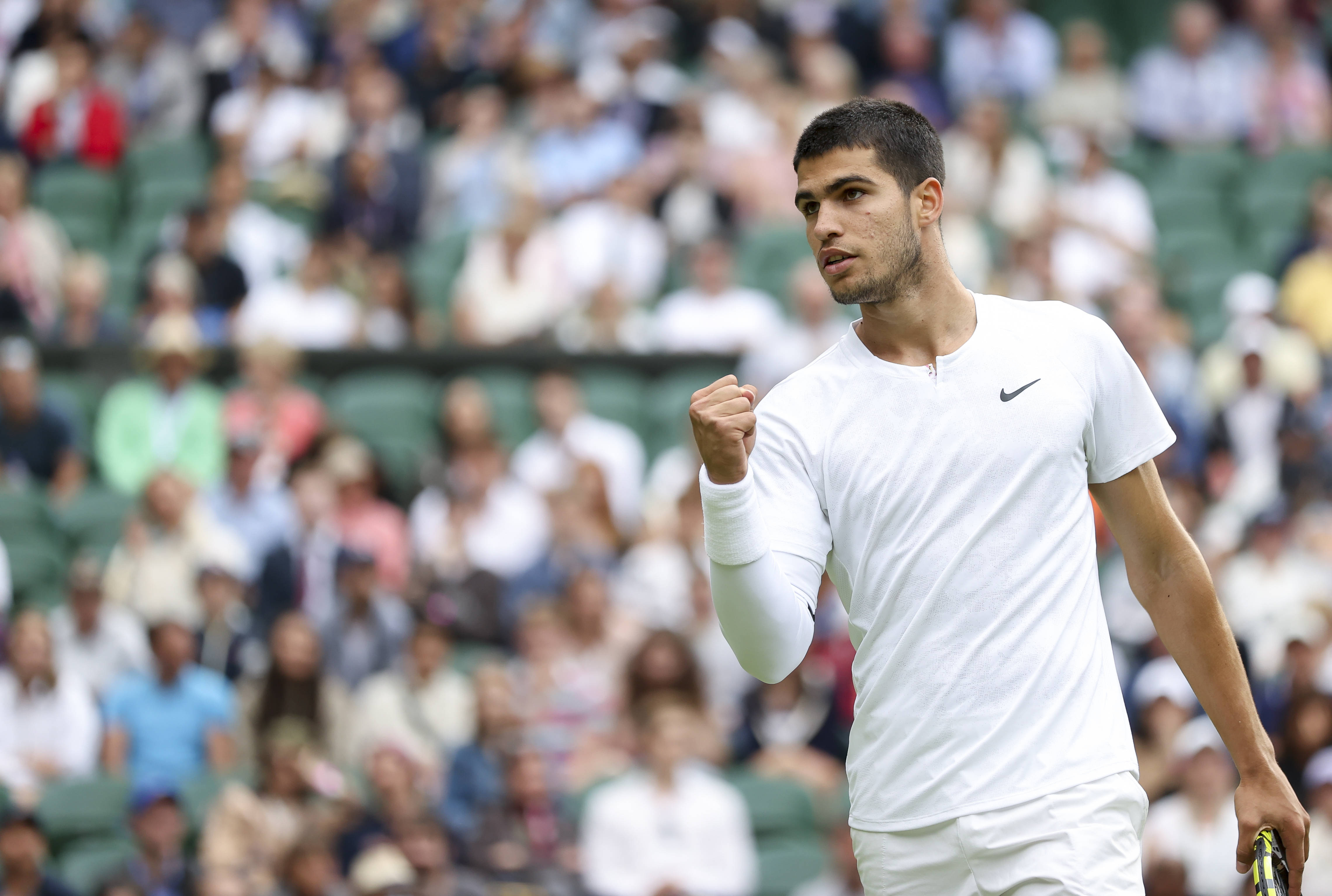 更显其整体 更显其整体